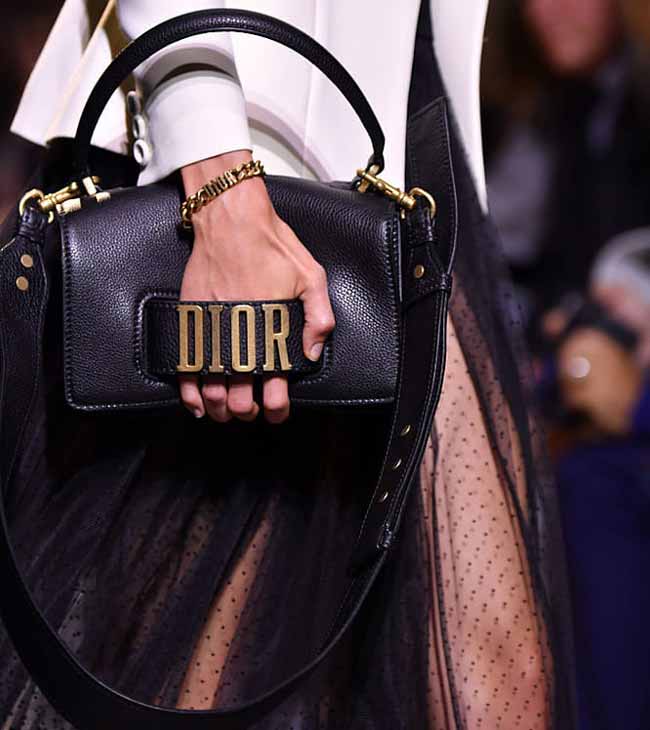 Christian Dior 2017 bag