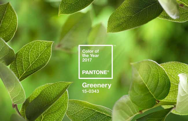 Main color pantone green 2017