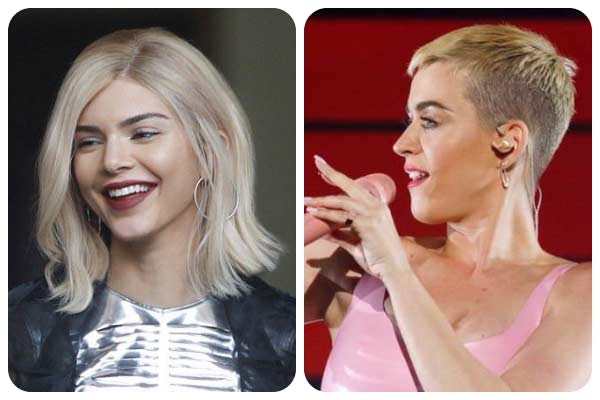 Les coupes de cheveux audacieuses des stars en 2017