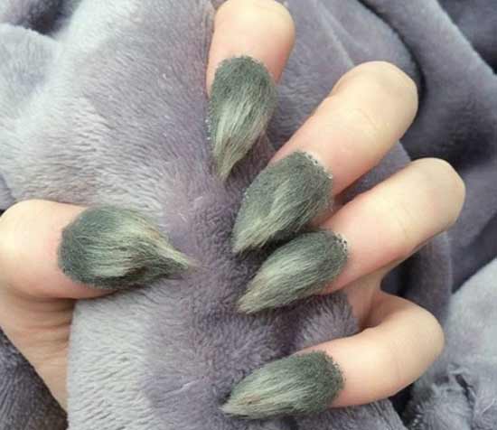 Ongles en fourrure