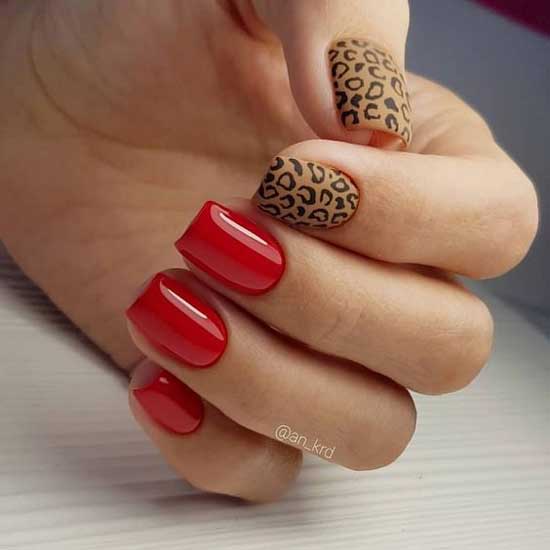 Leopard print in manicure 2019