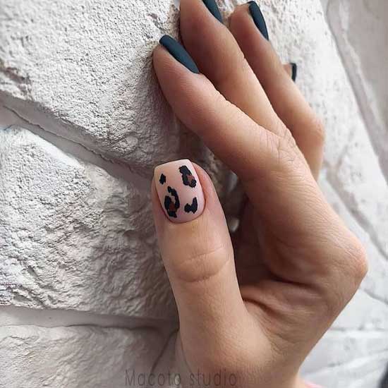 Beautiful manicure with leopard print short nails