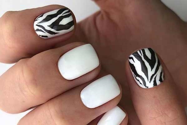 Fashionable nail designs photo novelties