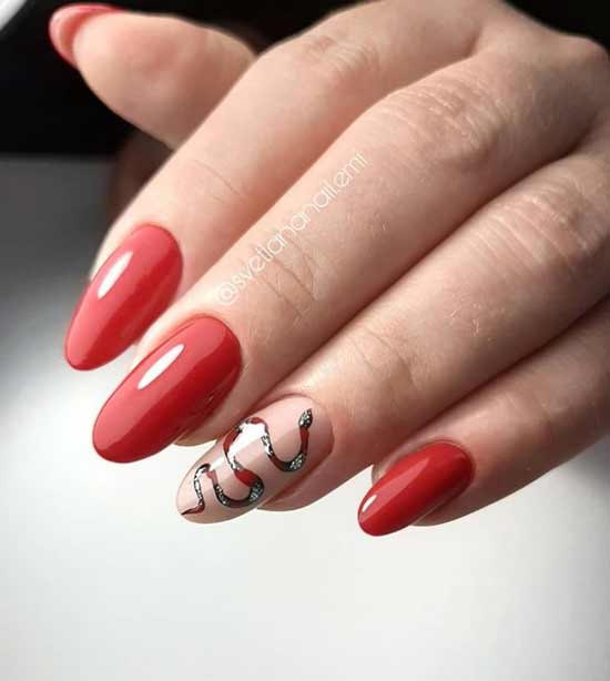 Manicure snake nails