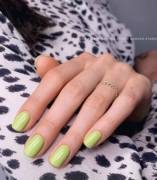 Beautiful manicure without a pattern: photos and the best design ideas