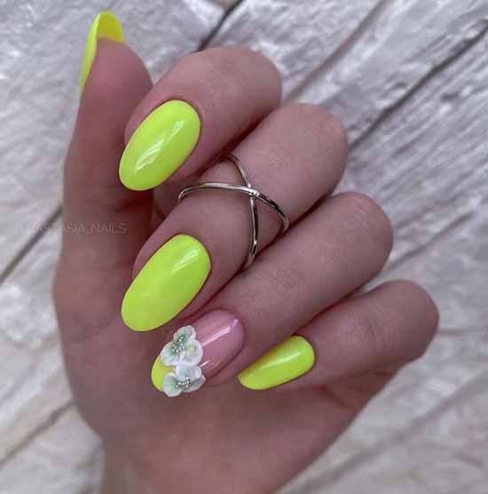 Youth design of nails: 100 new products, photo of manicure