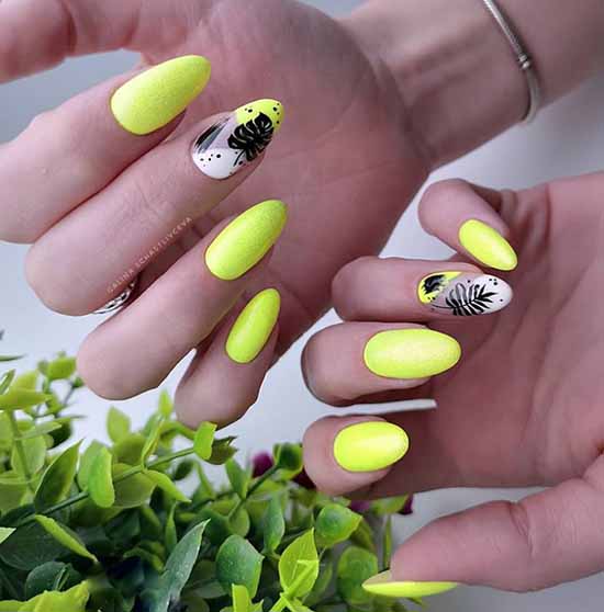 Youth design of nails: 100 new products, photo of manicure