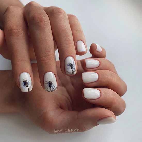 Everyday manicure: new items, 100 beautiful ideas in the photo