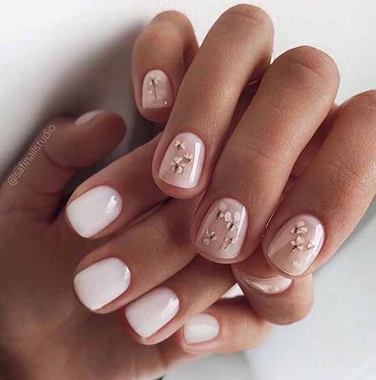 Everyday manicure: new items, 100 beautiful ideas in the photo