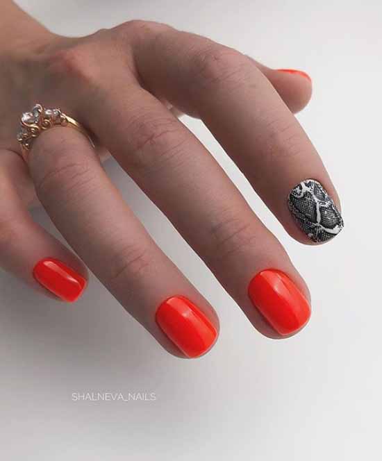 Design for short nails 2021: new manicure, photo ideas