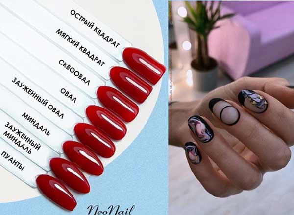 Oval nail shapes