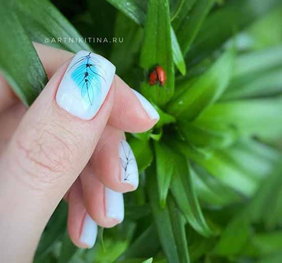 Toile d'araignée sur les ongles: design, 100 photos d'une belle manucure