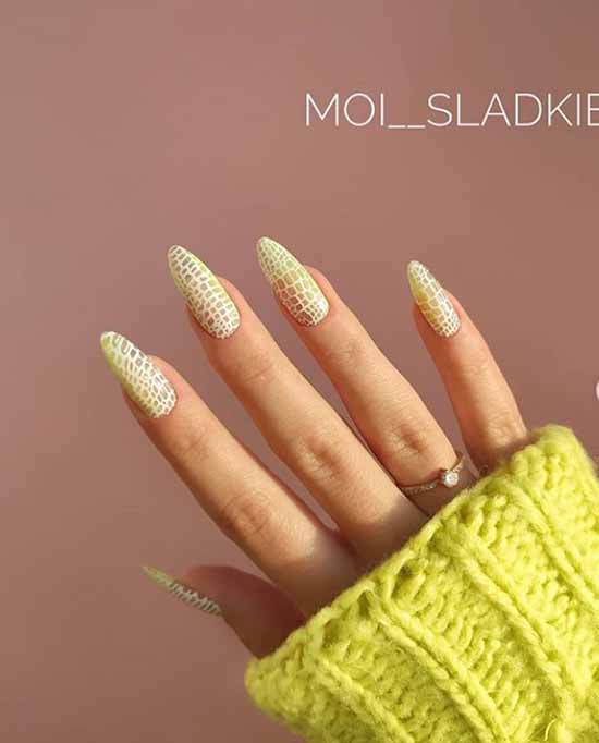 Beaux ongles mats: design, nouvelle manucure sur la photo