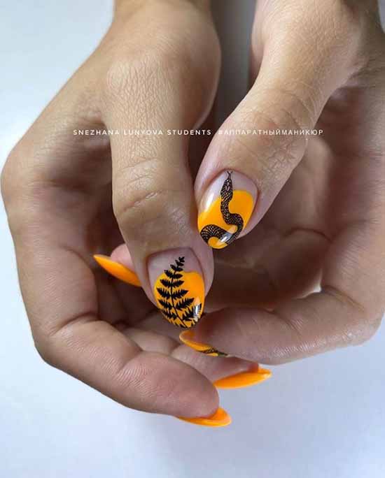 Original manicure: new items, the most interesting ideas in the photo