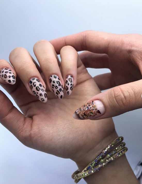 Original manicure: new items, the most interesting ideas in the photo