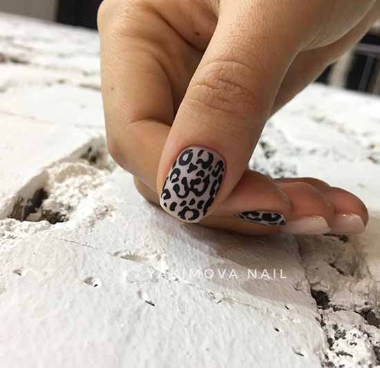 Stylish manicure for short nails: +100 new products on the photo