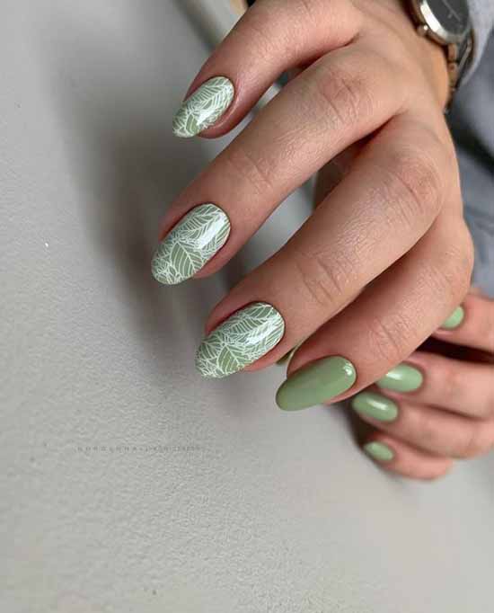 Khaki manicure: the best design, 100 photos, new items