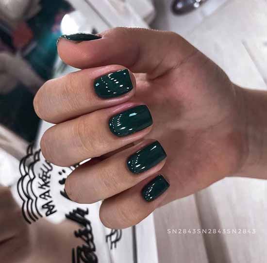 Green manicure 2021: photo of new items with the best nail designs