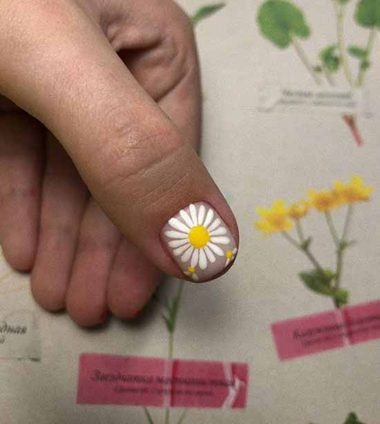 Chamomile manicure