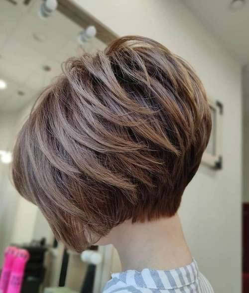 Pixie bob shape