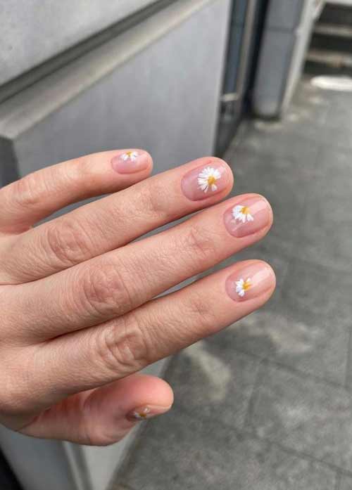 Marguerites délicates sur les ongles