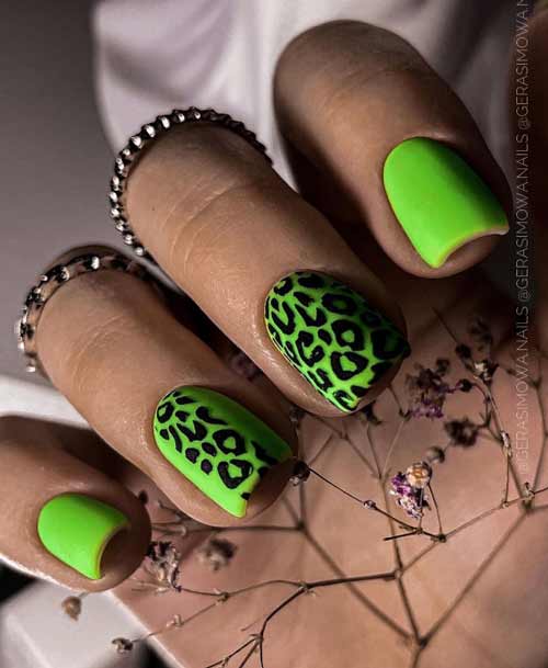 Green manicure square leopard