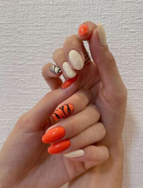 Orange manicure zebra