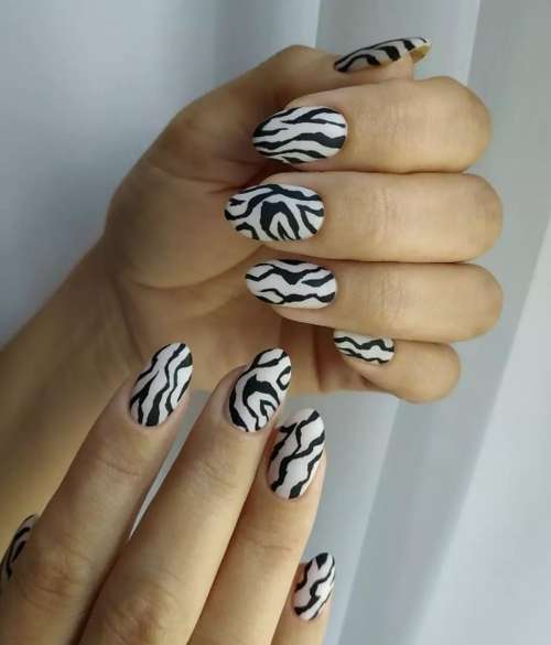 Zebra manicure 2021: photo, spectacular new designs