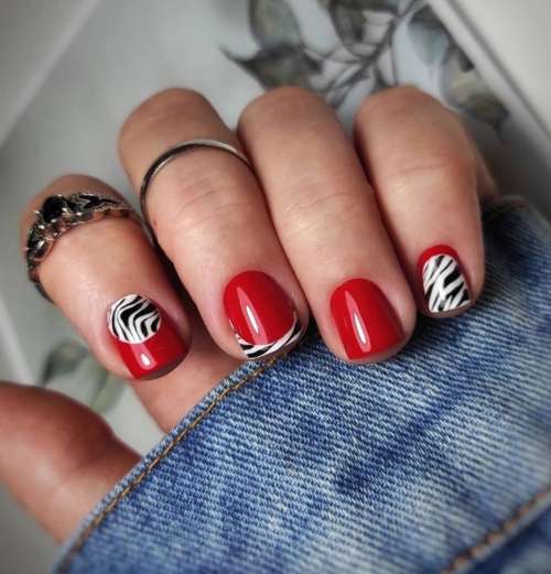 Zebra manicure 2021: photo, spectacular new designs