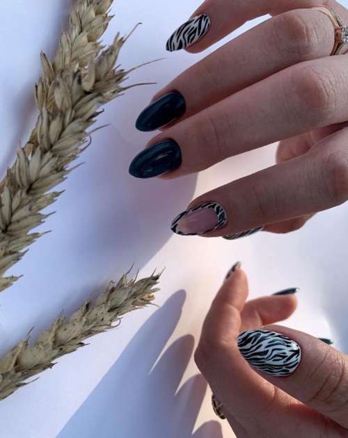 Zebra manicure 2021: photo, spectacular new design