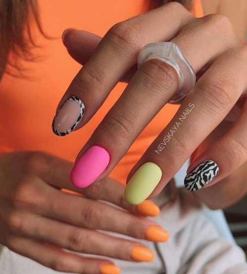 Beautiful manicure zebra