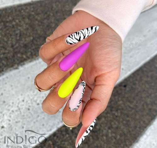 Long multicolored nails with zebra