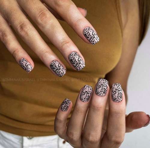 Zebra manicure 2021: photo, spectacular new design