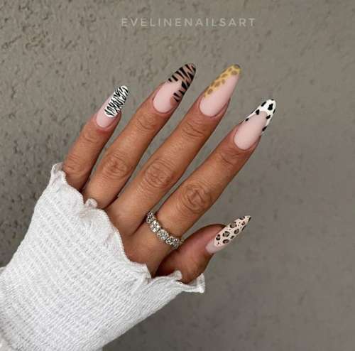 Zebra manicure 2021: photo, spectacular new design