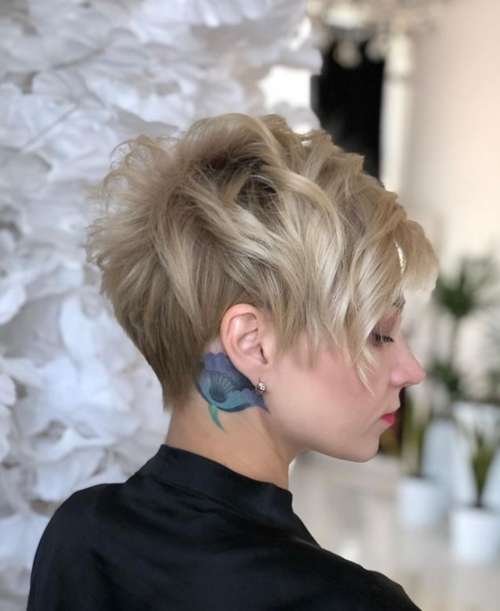 Coupe de cheveux courte Pixie bob