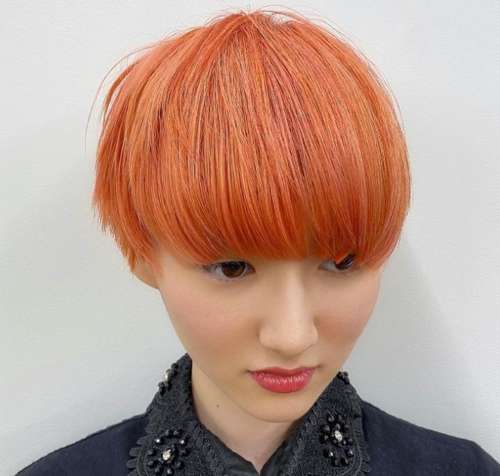 Frange droite Pixie bob