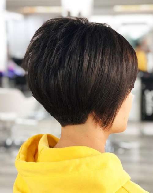 Pixie bob haircut: photos of haircuts from all sides