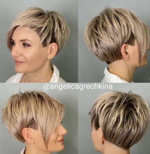 Pixie Bob asymétrique