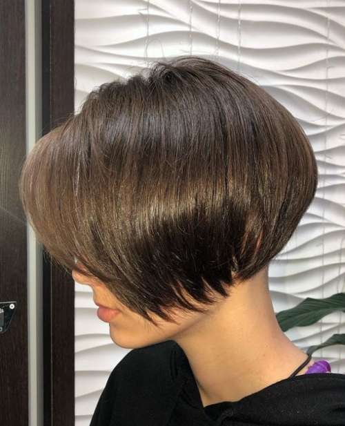 Pixie bob haircut: photos of haircuts from all sides