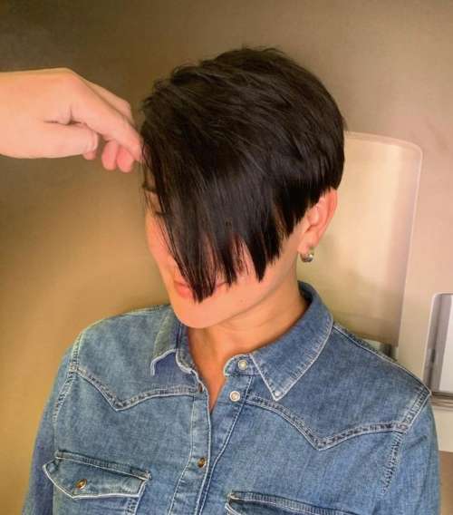 Asymmetrical pixie bob