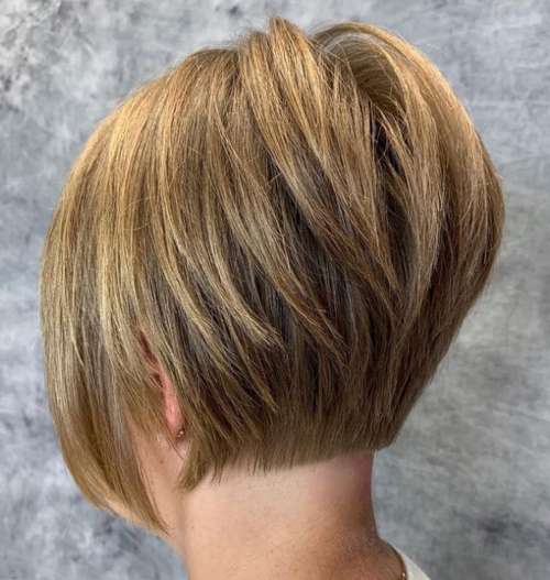 Pixie bob back view