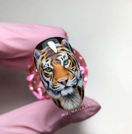 Drawing of a tiger on the nails