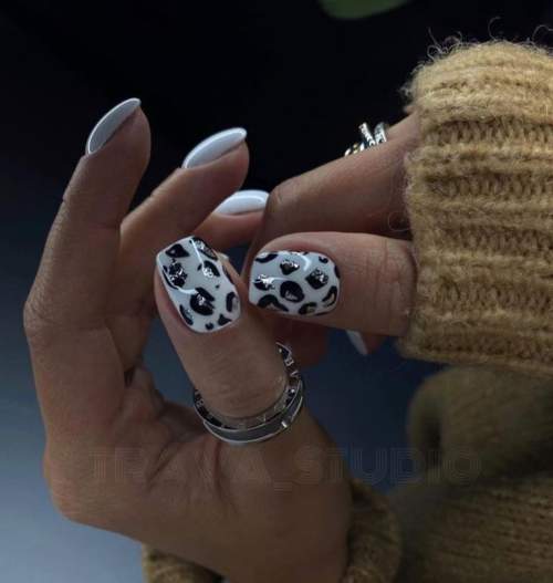 Black and white short nails