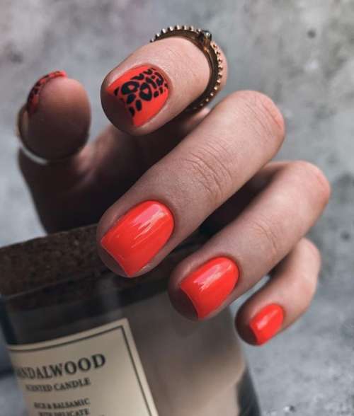 Manicure winter 2022: trends, beautiful photos, new designs